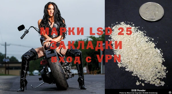 гидропоника Ладушкин