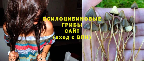 Альфа ПВП Лабытнанги